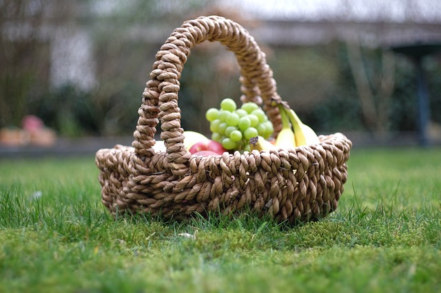 picnic photo